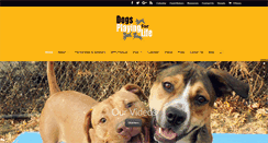 Desktop Screenshot of dogsplayingforlife.com