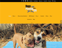 Tablet Screenshot of dogsplayingforlife.com